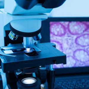 Pathology